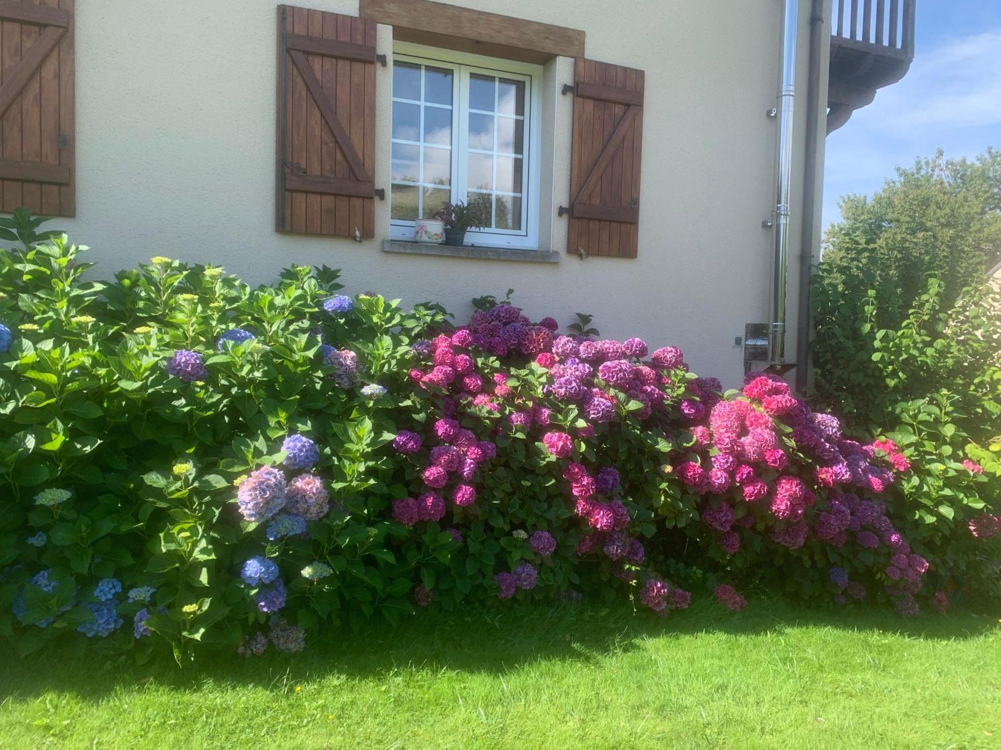 Chambres D'Hotes Le Bignon Dans Les Alpes Mancelles Villaines-la-Juhel Bagian luar foto